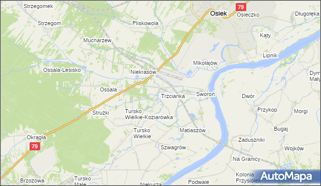 mapa Trzcianka gmina Osiek, Trzcianka gmina Osiek na mapie Targeo