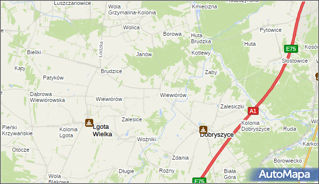 mapa Wiewiórów gmina Dobryszyce, Wiewiórów gmina Dobryszyce na mapie Targeo