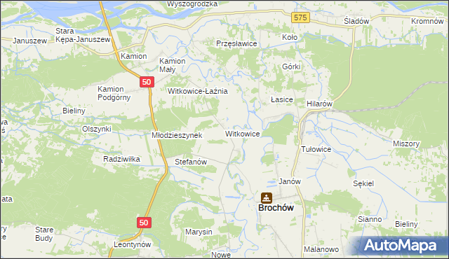 mapa Witkowice gmina Młodzieszyn, Witkowice gmina Młodzieszyn na mapie Targeo