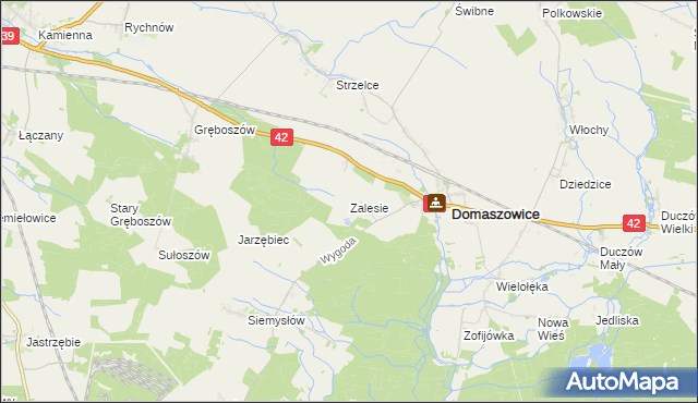 mapa Zalesie gmina Domaszowice, Zalesie gmina Domaszowice na mapie Targeo