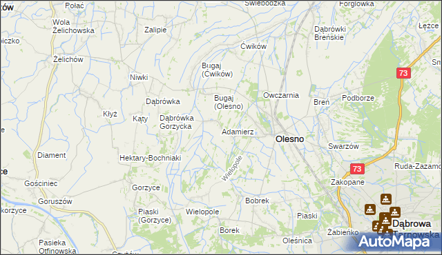 mapa Adamierz gmina Olesno, Adamierz gmina Olesno na mapie Targeo