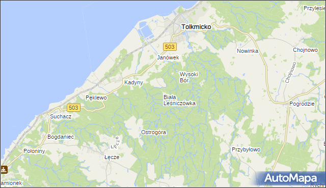 mapa Biała Leśniczówka gmina Tolkmicko, Biała Leśniczówka gmina Tolkmicko na mapie Targeo