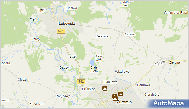 mapa Biały Dwór gmina Lubowidz, Biały Dwór gmina Lubowidz na mapie Targeo