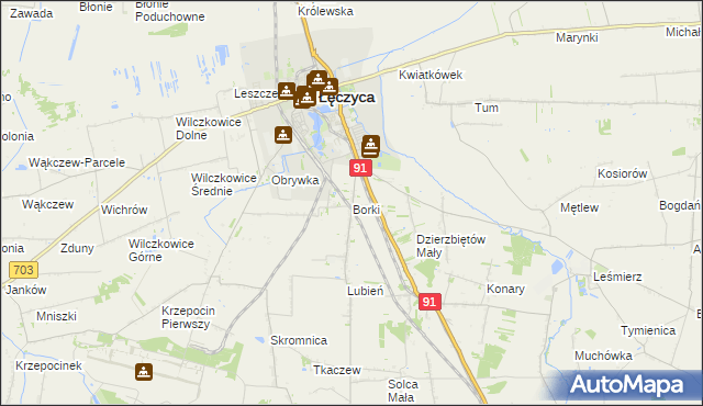 mapa Borki gmina Łęczyca, Borki gmina Łęczyca na mapie Targeo