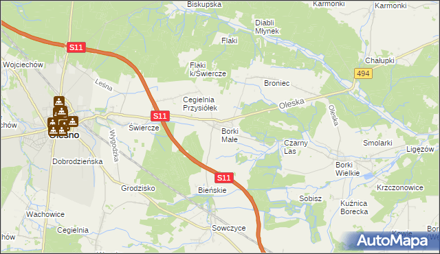 mapa Borki Małe gmina Olesno, Borki Małe gmina Olesno na mapie Targeo