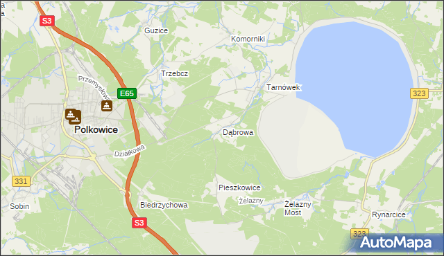 mapa Dąbrowa gmina Polkowice, Dąbrowa gmina Polkowice na mapie Targeo