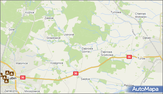 mapa Dąbrowa Górna gmina Lubin, Dąbrowa Górna gmina Lubin na mapie Targeo