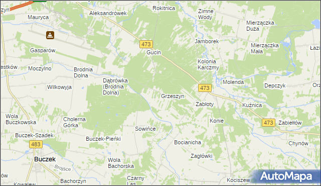 mapa Grzeszyn gmina Buczek, Grzeszyn gmina Buczek na mapie Targeo