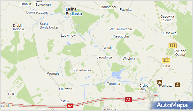 mapa Jagodnica gmina Leśna Podlaska, Jagodnica gmina Leśna Podlaska na mapie Targeo