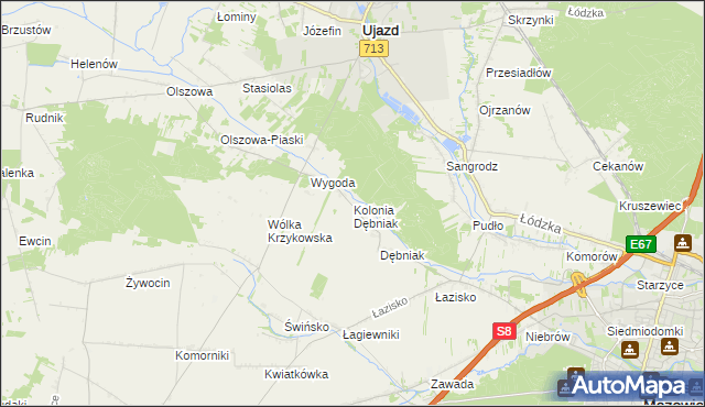 mapa Kolonia Dębniak, Kolonia Dębniak na mapie Targeo