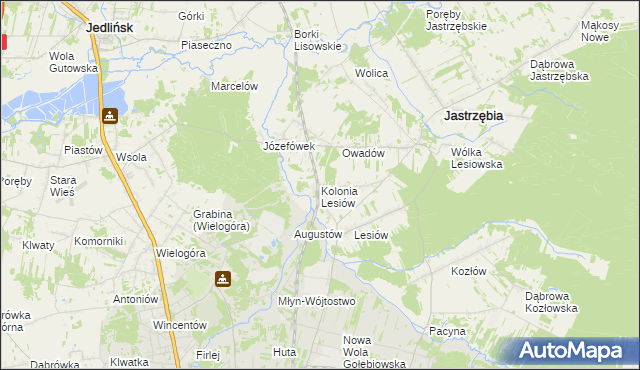 mapa Kolonia Lesiów, Kolonia Lesiów na mapie Targeo