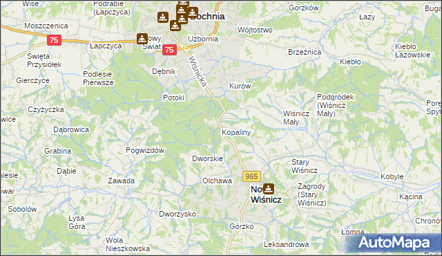 mapa Kopaliny gmina Nowy Wiśnicz, Kopaliny gmina Nowy Wiśnicz na mapie Targeo