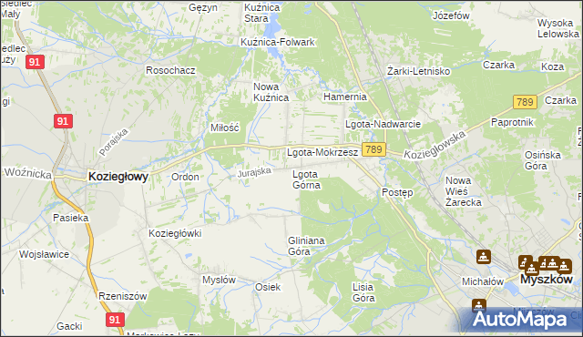 mapa Lgota Górna, Lgota Górna na mapie Targeo