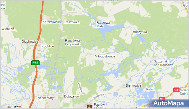 mapa Miłogostowice, Miłogostowice na mapie Targeo