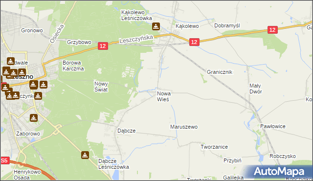 mapa Nowa Wieś gmina Rydzyna, Nowa Wieś gmina Rydzyna na mapie Targeo