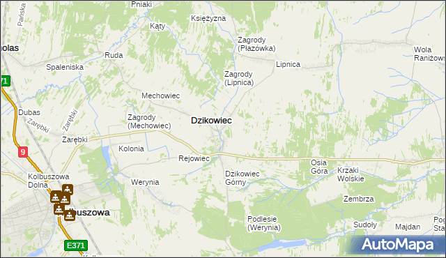 mapa Nowy Dzikowiec, Nowy Dzikowiec na mapie Targeo