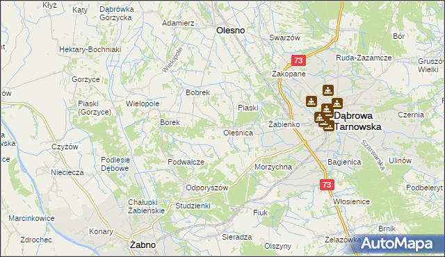 mapa Oleśnica gmina Olesno, Oleśnica gmina Olesno na mapie Targeo