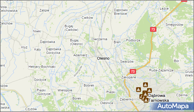 mapa Olesno powiat dąbrowski, Olesno powiat dąbrowski na mapie Targeo