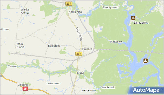 mapa Pruszcz gmina Gostycyn, Pruszcz gmina Gostycyn na mapie Targeo