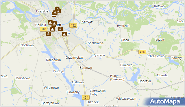 mapa Pysząca gmina Śrem, Pysząca gmina Śrem na mapie Targeo