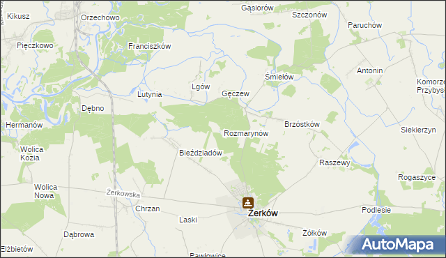 mapa Rozmarynów, Rozmarynów na mapie Targeo