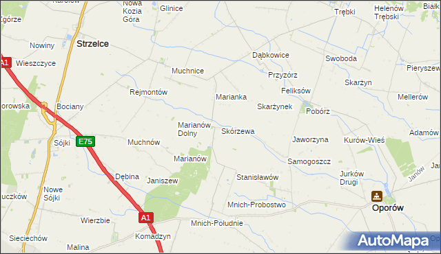 mapa Skórzewa, Skórzewa na mapie Targeo