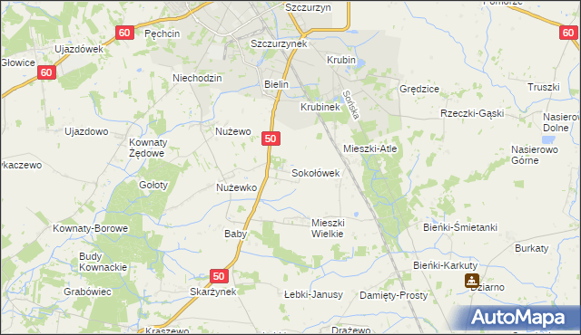 mapa Sokołówek gmina Ciechanów, Sokołówek gmina Ciechanów na mapie Targeo