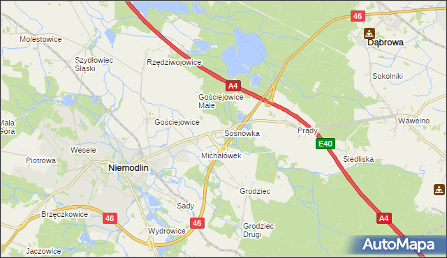 mapa Sosnówka gmina Niemodlin, Sosnówka gmina Niemodlin na mapie Targeo