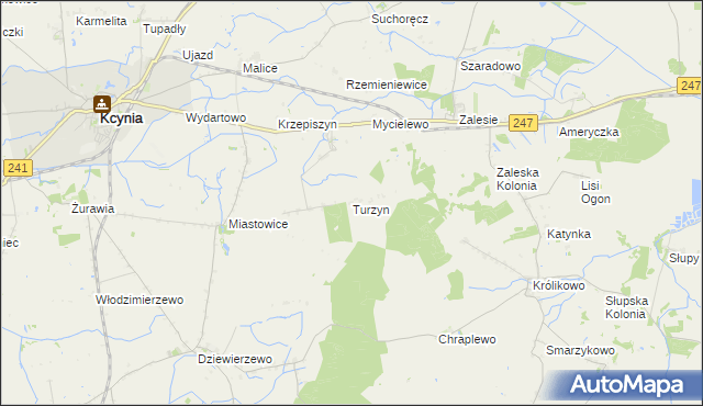 mapa Turzyn gmina Kcynia, Turzyn gmina Kcynia na mapie Targeo