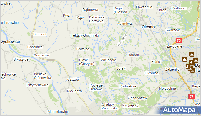 mapa Wielopole gmina Olesno, Wielopole gmina Olesno na mapie Targeo