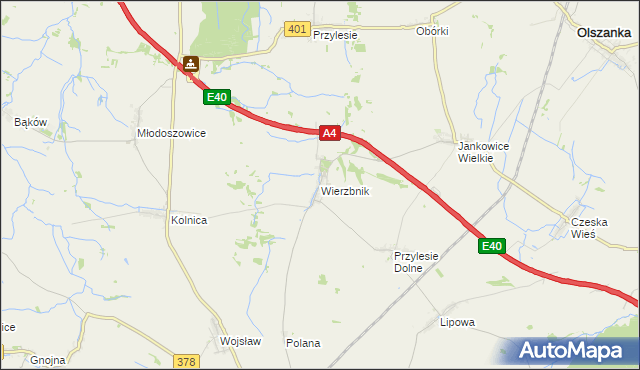 mapa Wierzbnik gmina Grodków, Wierzbnik gmina Grodków na mapie Targeo