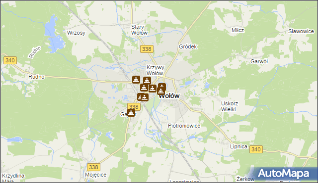 mapa Wołów, Wołów na mapie Targeo