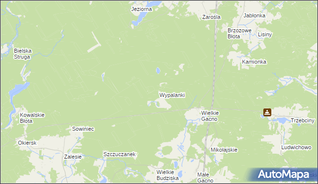 mapa Wypalanki gmina Śliwice, Wypalanki gmina Śliwice na mapie Targeo