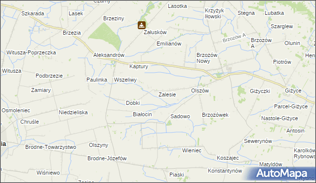 mapa Zalesie gmina Iłów, Zalesie gmina Iłów na mapie Targeo