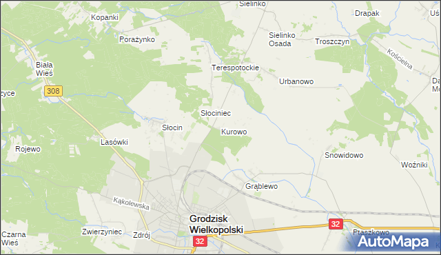 mapa Kurowo gmina Grodzisk Wielkopolski, Kurowo gmina Grodzisk Wielkopolski na mapie Targeo