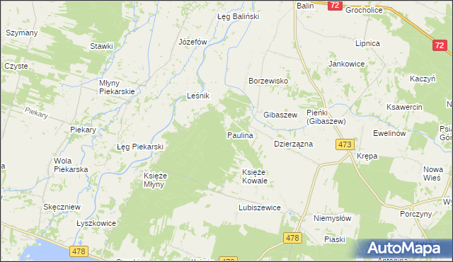 mapa Paulina gmina Poddębice, Paulina gmina Poddębice na mapie Targeo