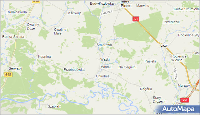 mapa Waśki gmina Mały Płock, Waśki gmina Mały Płock na mapie Targeo