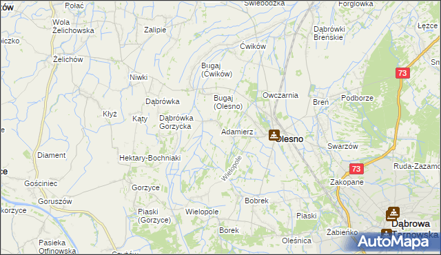mapa Adamierz gmina Olesno, Adamierz gmina Olesno na mapie Targeo