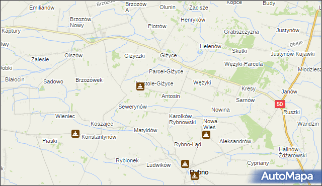 mapa Antosin gmina Rybno, Antosin gmina Rybno na mapie Targeo