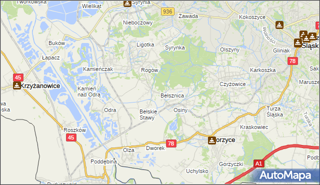 mapa Bełsznica, Bełsznica na mapie Targeo