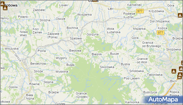 mapa Bieśnik gmina Łużna, Bieśnik gmina Łużna na mapie Targeo