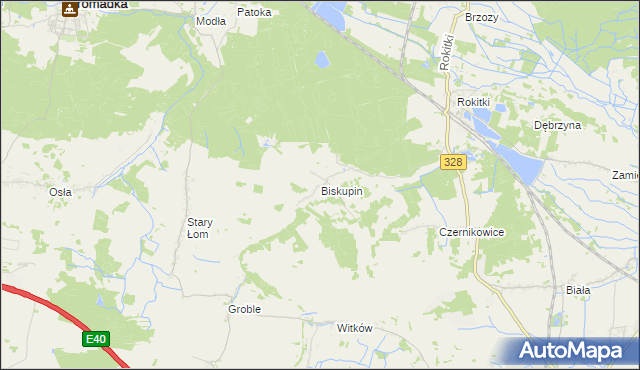 mapa Biskupin gmina Chojnów, Biskupin gmina Chojnów na mapie Targeo