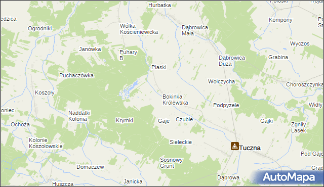 mapa Bokinka Królewska, Bokinka Królewska na mapie Targeo