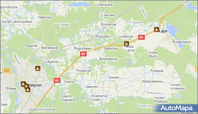 mapa Bolesławów gmina Gostynin, Bolesławów gmina Gostynin na mapie Targeo