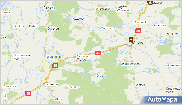 mapa Boraszyce Małe, Boraszyce Małe na mapie Targeo