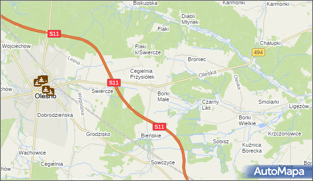 mapa Borki Małe gmina Olesno, Borki Małe gmina Olesno na mapie Targeo