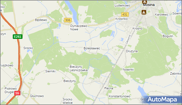 mapa Borkowice gmina Mosina, Borkowice gmina Mosina na mapie Targeo