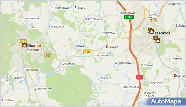 mapa Borkowice gmina Oborniki Śląskie, Borkowice gmina Oborniki Śląskie na mapie Targeo