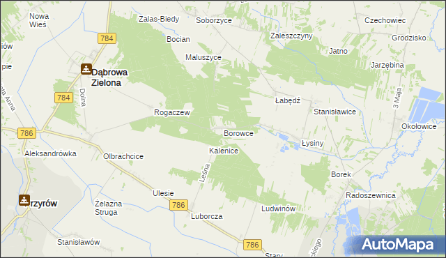 mapa Borowce gmina Dąbrowa Zielona, Borowce gmina Dąbrowa Zielona na mapie Targeo