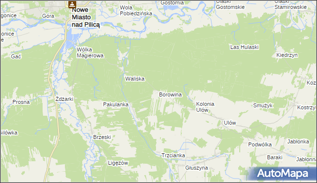 mapa Borowina gmina Nowe Miasto nad Pilicą, Borowina gmina Nowe Miasto nad Pilicą na mapie Targeo